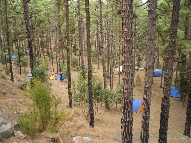Imagen de la actividad 'Estancia y pernocta en zona de acampada El Lagar'