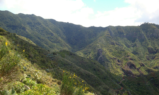 Imagen de la actividad 'Recorrido a pie de sendero en la Zona de Exclusión de Monte de Aguirre (Parque Rural de Anaga)'
