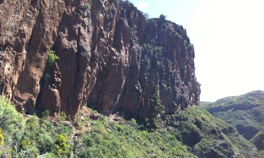 Imagen de la actividad 'Escalada en el Risco de Guaria (Monumento Natural de  Montaña de Tejina)'